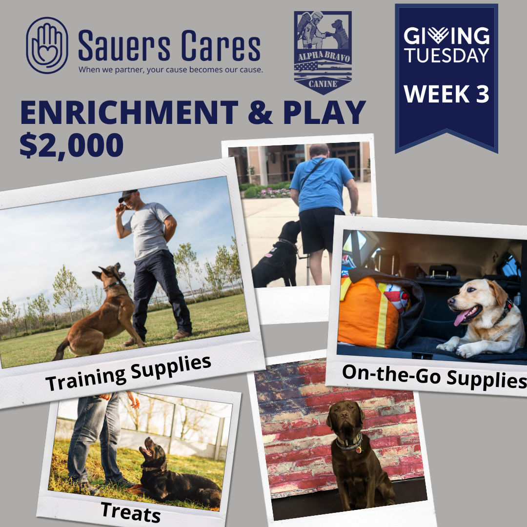 A Visit with Alpha Bravo Canine Sauers Cares
