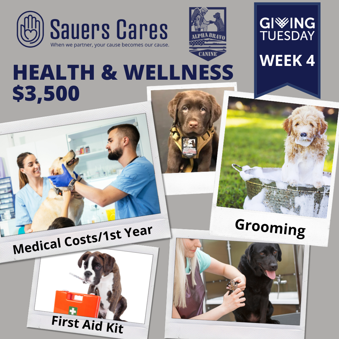 A Visit with Alpha Bravo Canine Sauers Cares